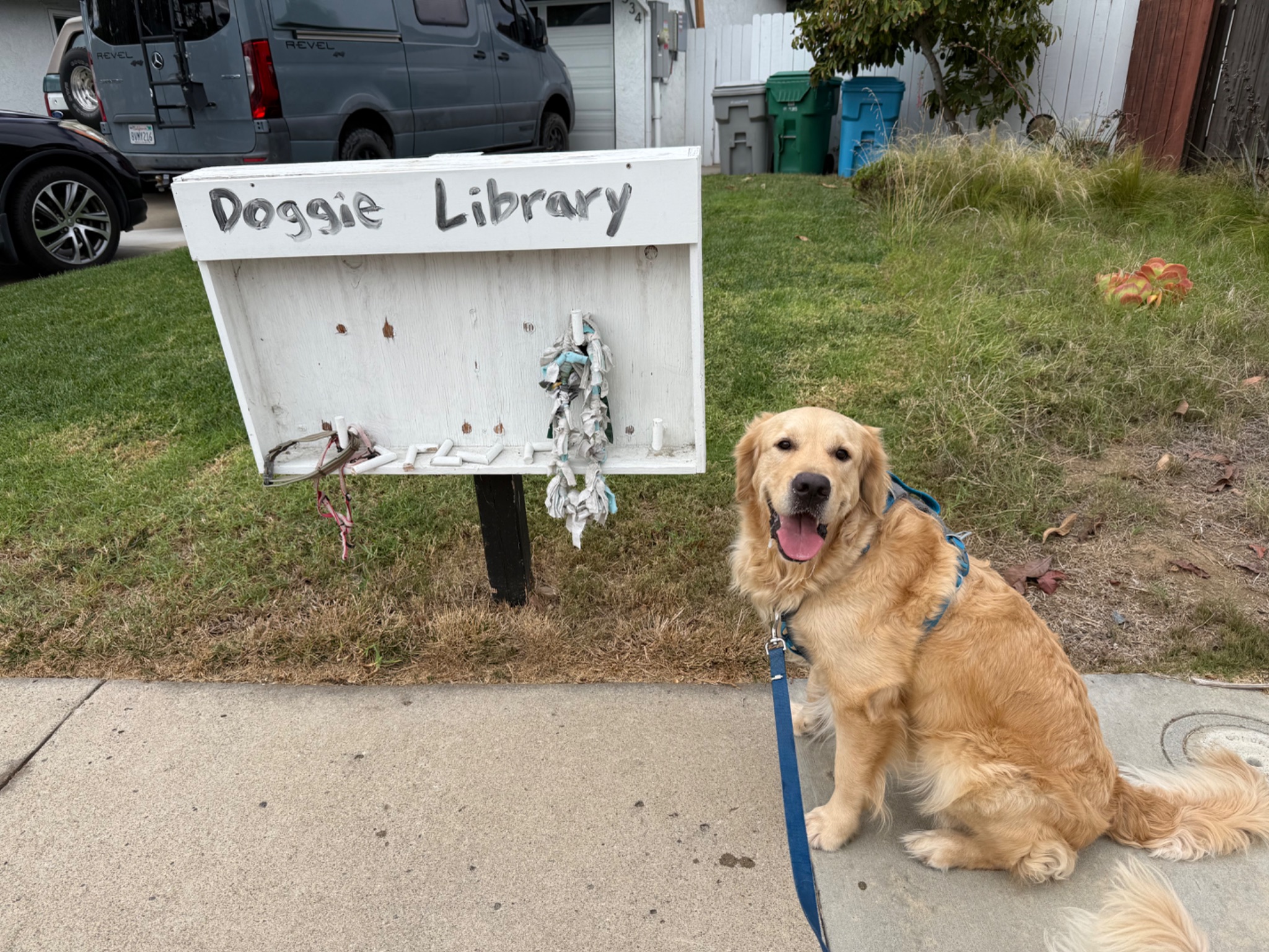 doggie free library